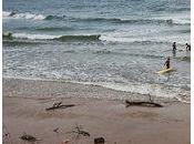 Surfeurs évacués Biarritz pour cause pollution Surfing