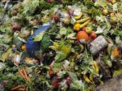 Journée mondiale l'environnement Lutter contre gaspillage alimentaire