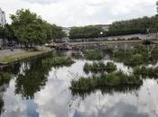 Jardins Quai Voyage Nantes