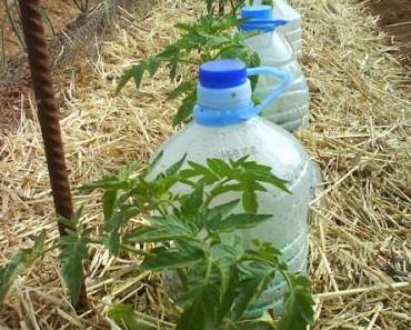 Irrigation solaire au goutte à goutte : une technique gratuite à la portée de tous
