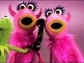 Muppet show Sesame street... quelques minutes défoulement