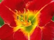 Yessssss retouuuuuur