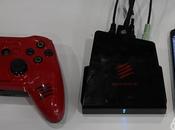 photos pour Catz M.O.J.O.