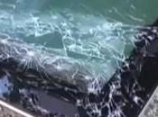 Apple page deux garantie produits pommés