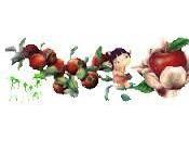 Gâteau Pommes Calvados