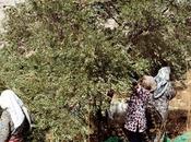 Rencontre avec Valentine Vermeil