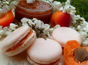Macarons l'abricot fleurs d'acacia