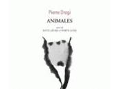 [note lecture] Pierre Drogi, "Animales" Christophe Lamiot-Enos, dire souriant", Yves Boudier