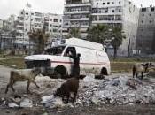 photojournaliste, Sebastiano Tomada, lauréat Visa d’Or Humanitaire CICR édition 2013