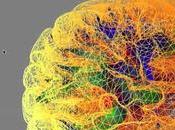 other medical discoveries appeared microscopic steps compared this: Brain project