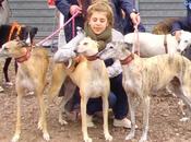 associations galgos reunies sous même bannière