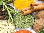 aliments cuisine indienne font maigrir