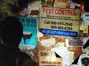 (vrais faux) numéros téléphone dans Last