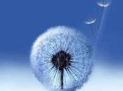 Galaxy Note approche...