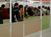 Japan Expo Comic Con' 2013 files dédicaces parfaitement ordonnées