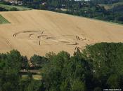 Crop Circle 2013: spettacolare pittogramma Robella (Asti)