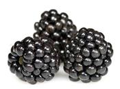 BlackBerry n’est encore mort, selon Thorsten Heins