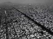 images comme oiseaux