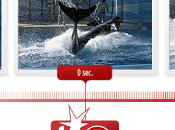 Appareil photo Casio Exilim EX-ZR400 EX-ZR700, pression pour photos