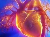 OBÉSITÉ: Plus elle dure, plus maladie cardiaque s'installe silence JAMA