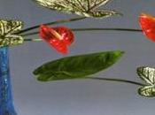 Ikebana, l’art floral japonais, connais
