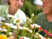 INSTITUT JARDILAND Découvrez Ateliers d’automne 2013, gratuits pour tous, transmettre savoir-faire jardinier