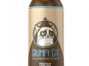 Grumpy cat, chat fort café