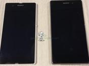 Sony Honami fuite côté d’un Xperia