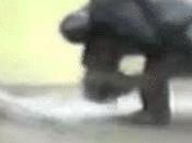 Gorilla Glass NBT, nouvel écran Notebook Corning