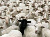 l'individualisme enquête retour l'individu