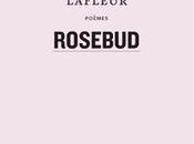 [note lecture] Annie Lafleur, "Rosebud", Hugo Pernet