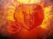 Conquérants Grizzlies: "nouveaux" supporters d'Aix.