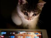 iPad: Apple attend second semestre afin d'être mieux positionné face concurrents pour fêtes d'année...