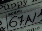 FESTIVAL Puppy Love Delphine Lehericey première mondiale Sebastian