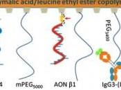 CANCER SEIN: nano médicament noyaute cellules tumorales Journal Controlled Release