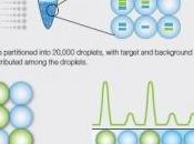 ALZHEIMER: avant, l'ADN mitochondrial signe maladie Annals Neurology