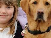 HYPOGLYCÉMIE: chien peut renifler PLoS