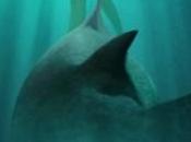 Critique Ciné Ghost Shark, Syfy requin fantôme