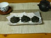 Trois sencha Shimizu Yamamoto Kengo