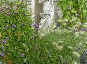 fleurs champs milliers château Valencay