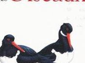 Mini-guide illustré oiseaux, éditions Marabout