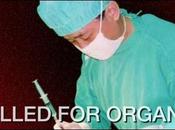 Chine Falun Gong business transplantations d'organes
