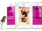 Petzila garde oeil votre toutou