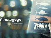 degrees south indiegogo