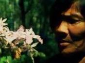 L'Aventure Plantes 1982