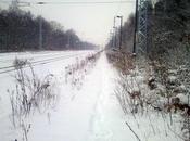 inauguration d’un site convertit l’électricité