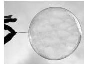 Afrique prochain cycle majeur d’expansion-récession