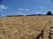 Variations Autour d’un