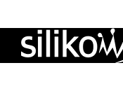 Premier essai dentelles sucre "Silikomart"