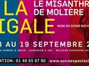 Misanthrope Cigale